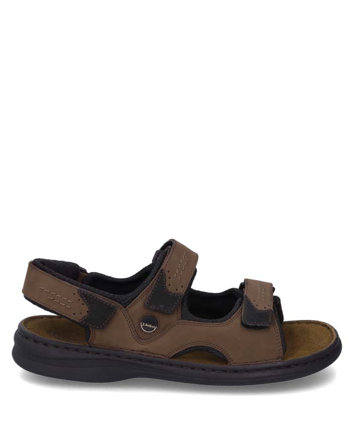 New Arrivals Josef Seibel Franklyn - Brown